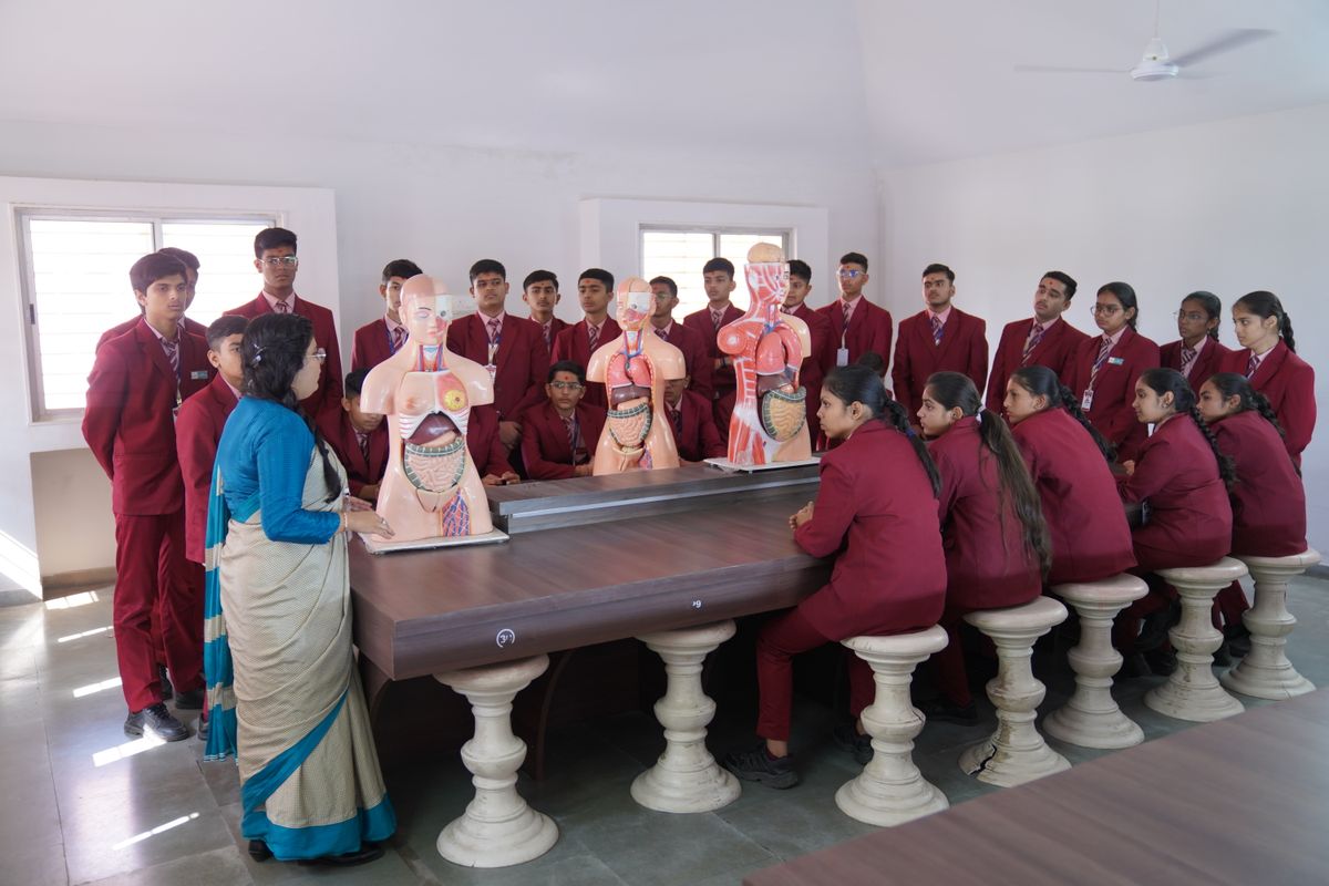Teacher explaining human anatomy models to senior students